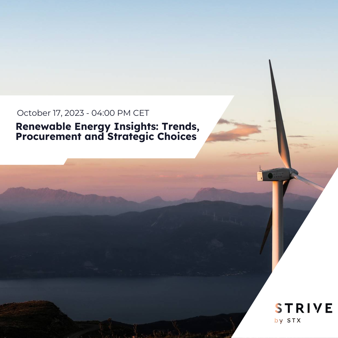 renewable energy insights webinar