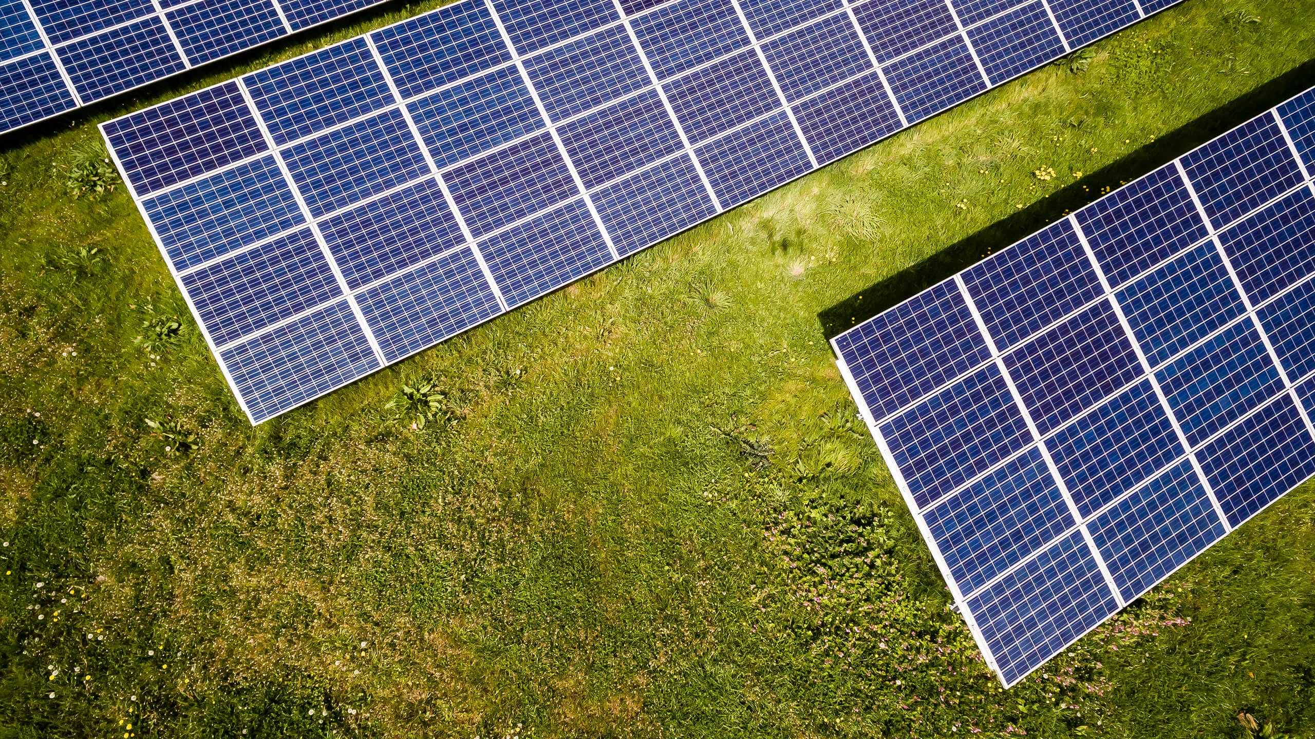 renewable energy procurement strategy