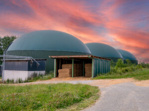 Biomethane’s Role in Decarbonizing Hard-to-Abate Sectors